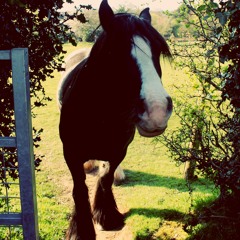 MAJESTY (submissions welcome by Monday morning)