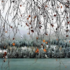 Wintertime (Remix)