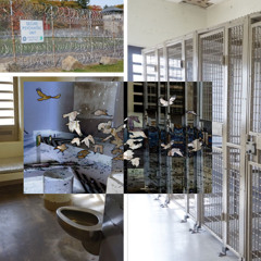“Chrome Hearts Skarmory Wings” rkjailbird files Document I