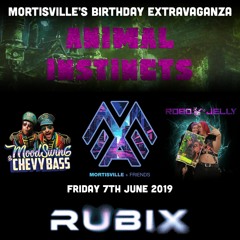 Robojelly - Mortisville Birthday 2019