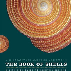 free PDF ✏️ The Book of Shells: A Life-Size Guide to Identifying and Classifying Six