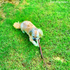 Invite - Rumi (Nick Scott mix) (BONUS)