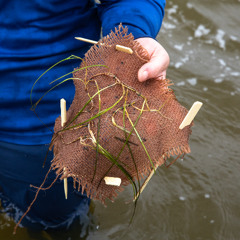 Public Lands Reprieve, Trump Ignores Social Cost of Carbon, Seagrass “Gardening” and more.