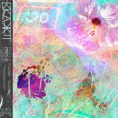 Brakkit - Focus (FREE DOWNLOAD)