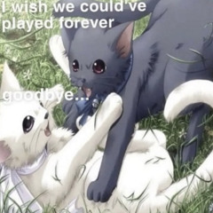 DJ WKStA's feel good copium for dark days (party till i die live set @ ponyhof 18-01-2025)