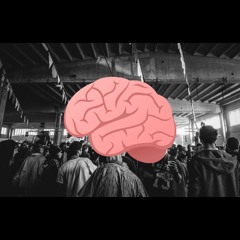 "TEKNO BRAIN" Rasta