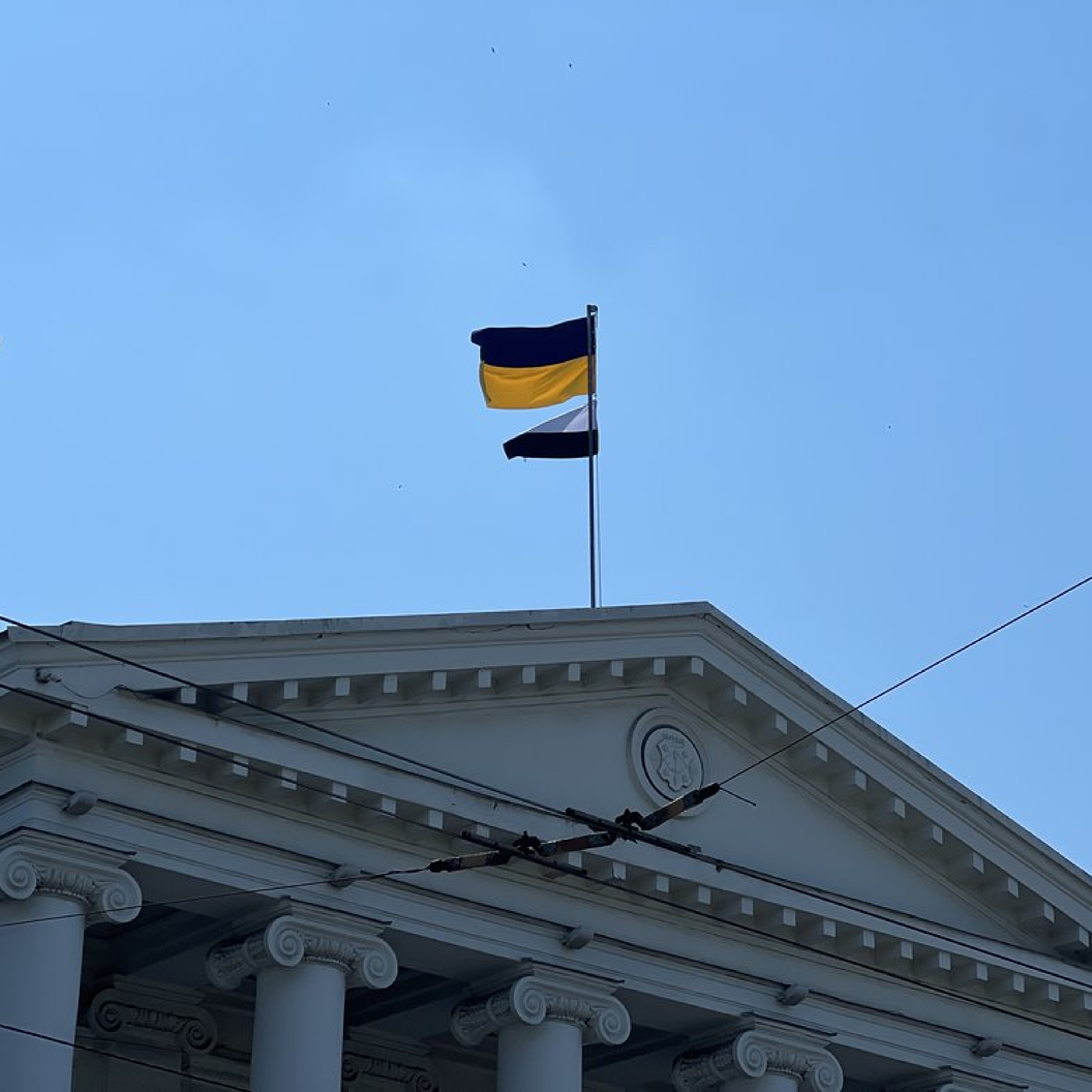 «Він має ціль об'єднати всіх у спільній боротьбі»: Галина Гриценяк про проєкт «Прапор Надії» episode artwork