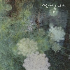 Mint Field - Sentimiento Mundial (Singles)