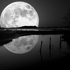 Mino Safy & Biotones - Tears From The Moon (Original Mix)