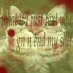zombiwebz songs i like in vibe order