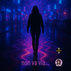 Non va via