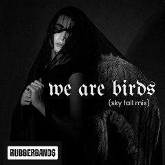we are birds (sky fall mix)