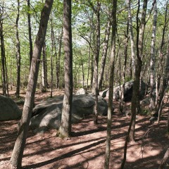 Paysage Granulaire / Mont-St Hilaire / Déroute