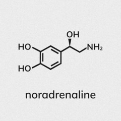 NORADRENALINE w/ Ivan Stavtsev