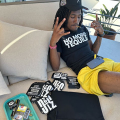 ice spice (hoodrixh)