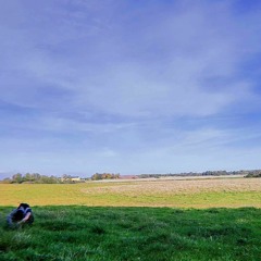 Hardgroove Techno set - 17/01-2024