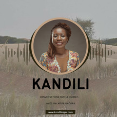 #4 Diassibo Tchiombiano : Tabaski Écolo