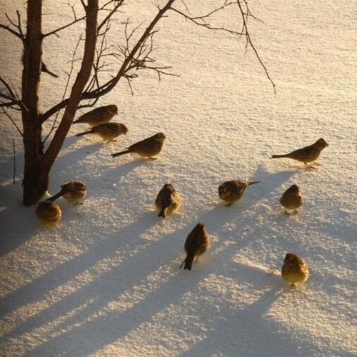 limly & lochhaven - ill find you again