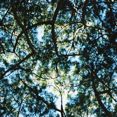 That little tent of blue which prisioners call the sky