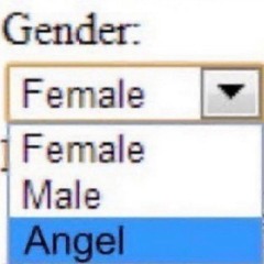 ˚₊‧꒰ა 𓂋 ໒꒱ ‧₊˚