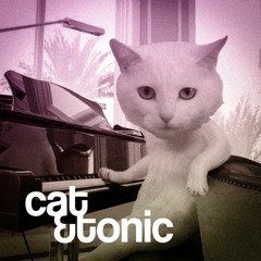 Cat & Tonic