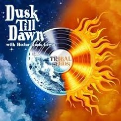 Tribal Seeds - Dusk Till Dawn (feat. Hector Roots Lewis) [Release 2022].mp3