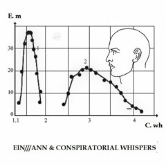 EIN///ANN & Conspiratorial Whispers - 2020