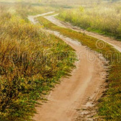 WHISKEY MYERS ~  Broken Winder Serenade (Texas Meth Ballad)