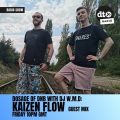 Dosage of DnB 003 - Guest Mix with Kaizen Flow