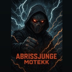 AbrissJunge-MoTekk