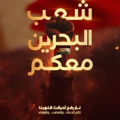 المقاومة حقنا