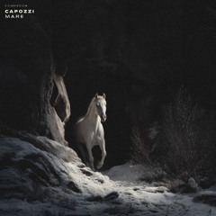 Capozzi - Mare