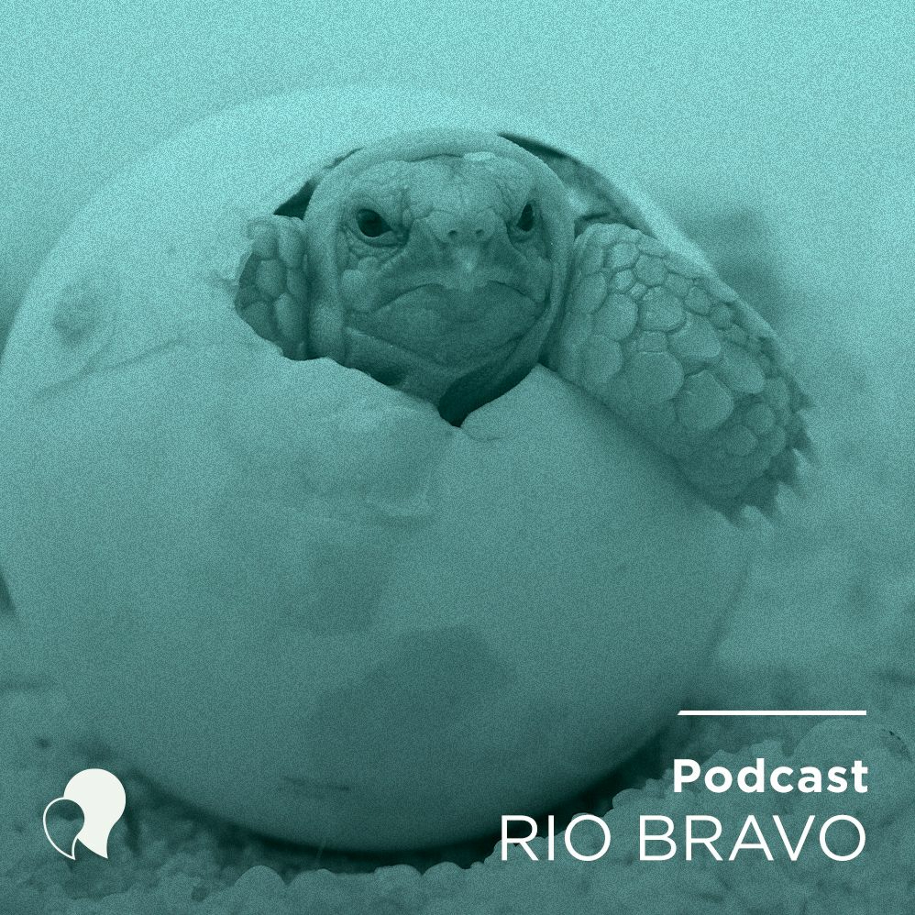 Podcast 621 – José Antônio Scodiero: A Baita e o processo de aceleração de startups episode artwork