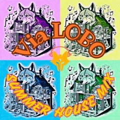 ViaLOBO Summer House Mix 7/24