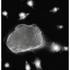 ^_- - flying (prod TDF x Josh) *21’