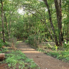 30.12.2021-Cap.VII - Puros de Coração - Instruções dos Espíritos - Vinde a Mim as Criancinhas (5)