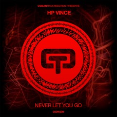 HP Vince - Never Let You Go (original Mix)