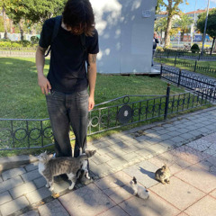 BERLIN! (p. kilolit x steezywolf49)