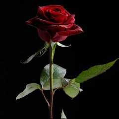 King Godi MIXTAPE 2023