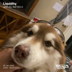 LIQUIDITY with DJ RATED  K- 25/01/2022