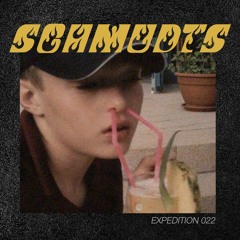 Expedition 022 /// Schmudts
