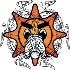 doin2much(zeenorad4x)