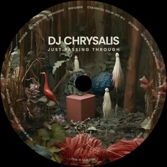 DJ Chrysalis - Overthunk (Big Dub Blub)