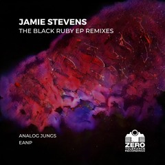 Jamie Stevens - Path Of None (Analog Jungs Remix)