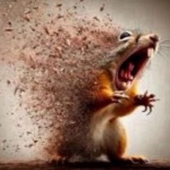 fall n lbf (prod. 2xcond)