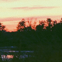 forest interlude flipped