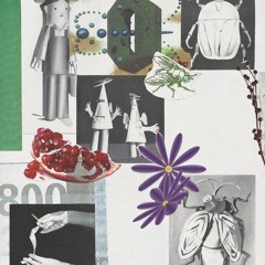 SO FREE (prod. davesocozy)