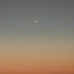Warmth - Surrender