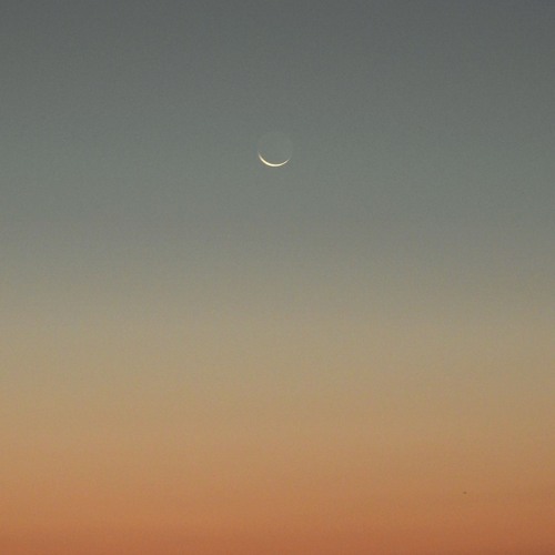 Warmth - Surrender