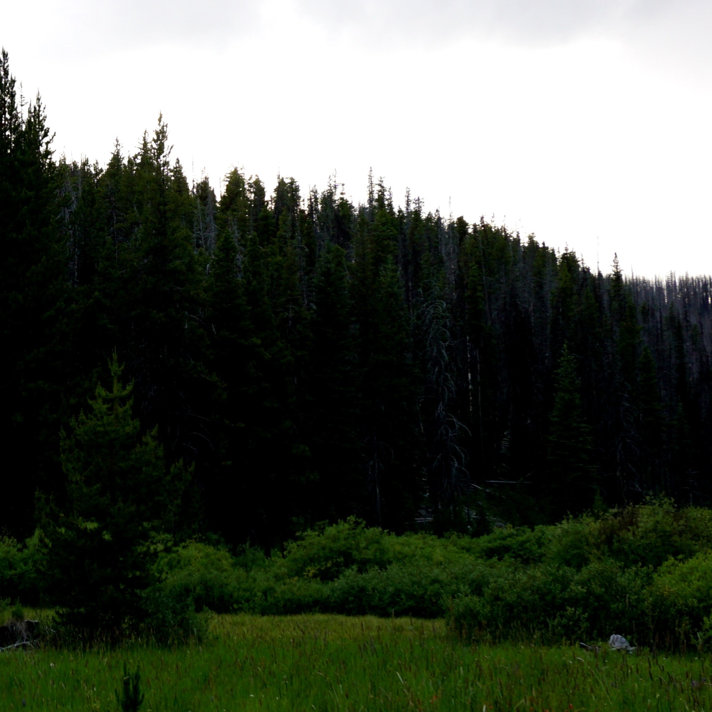 Northwest Soundscapes